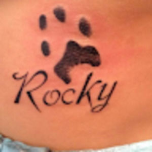 Meet your Posher, Rocky